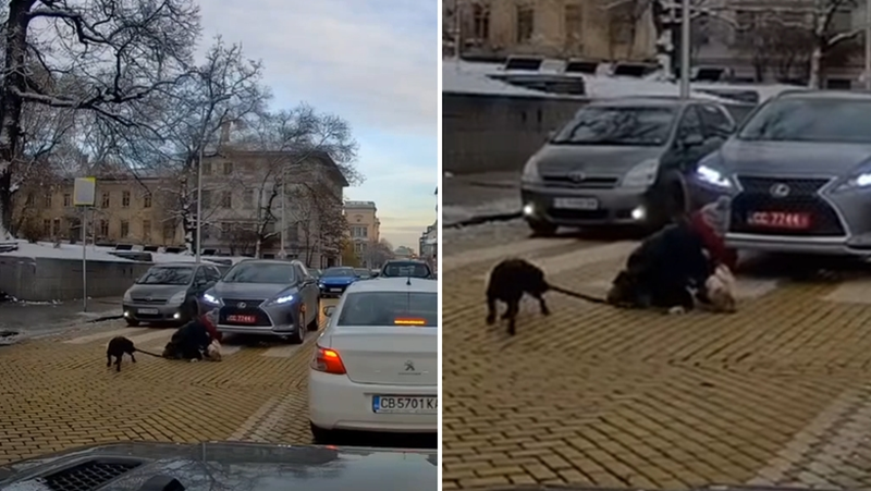 Неприятният инцидент се е случил в столицата.Видео, публикувано в социалната