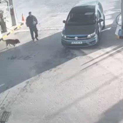 Шофьор мина три пъти с колата си през куче! Не го видя?