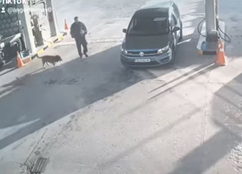 Шофьор мина три пъти с колата си през куче! Не го видя?