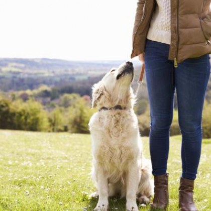 Жена алармира за сериозен проблем в Карловско По думите й