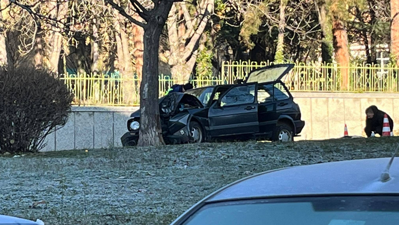 Трагедия в Карлово: Шофьор самокатастрофира в дърво, жена загина