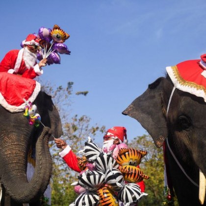 Стадо слонове помага на Дядо Коледа да разнася подаръци в