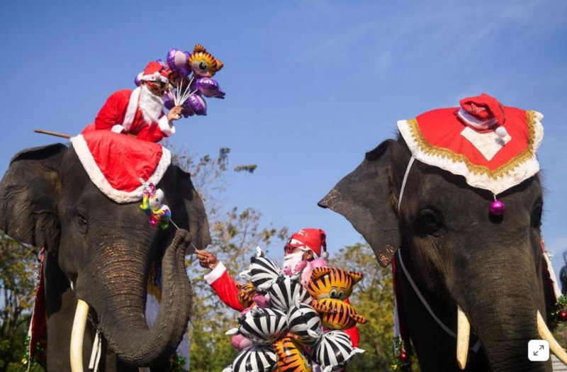 Не с шейна, а със слон: Дядо Коледа раздаде подаръците в Тайланд ВИДЕО+СНИМКИ