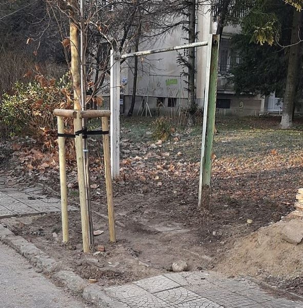 Разкопаха тротоар за кабели, а после засадиха и дръвче СНИМКА