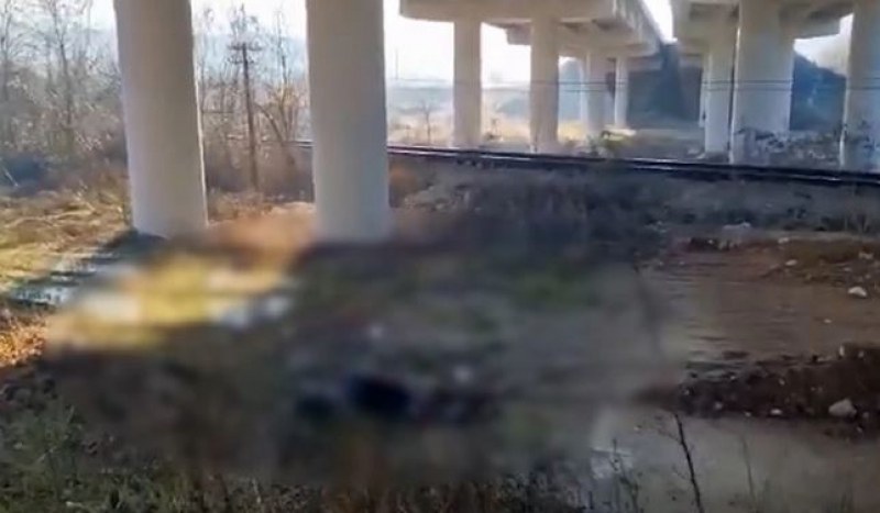 Журналист случайно намери труп до дерайлиралия влак в Пирот  СНИМКА 18+