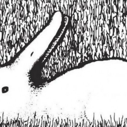 Какво видяхте първо – заек или патица 1 ЗаекАко първо сте