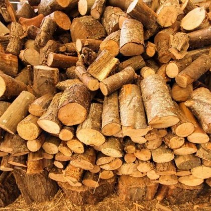 Жителите на Франция които отопляват домакинствата си с дърва могат