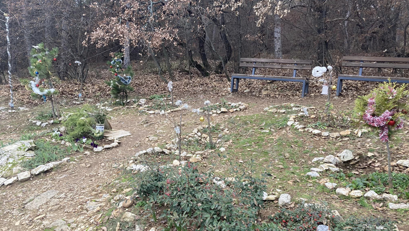 Пазете кучетата и котките: Откриха консерви с отрова в парк в Стара Загора