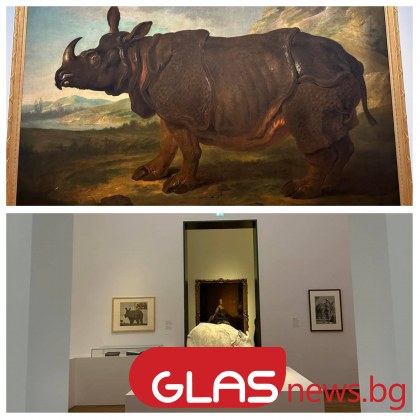 Клара  женският индийски носорог който през 18 и век се превърна