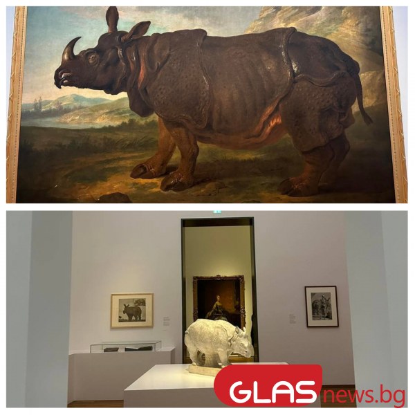 Клара - женският индийски носорог, който през 18-и век се превърна