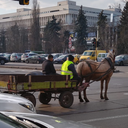 Каруца по оживен булевард в София имало забрана  кой го