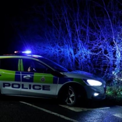 Жена загина след нападение с куче в Съри Великобритания В полицията