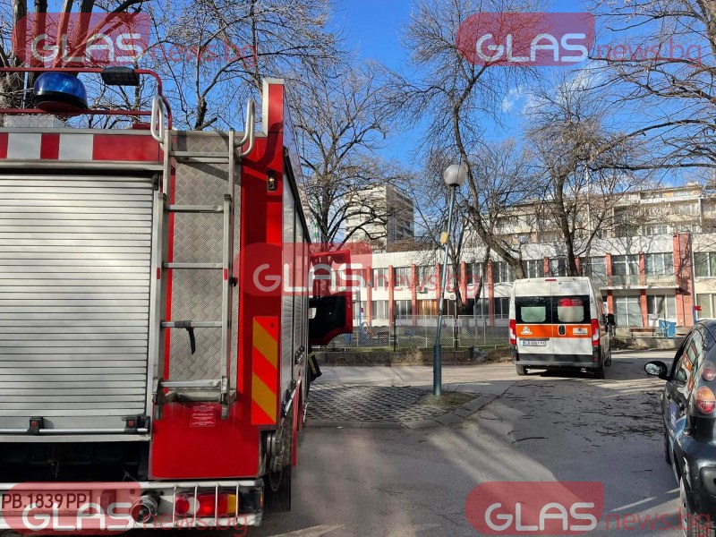 Голямо дърво падна върху деца в Пловдив, линейка и пожарна са на място  СНИМКИ