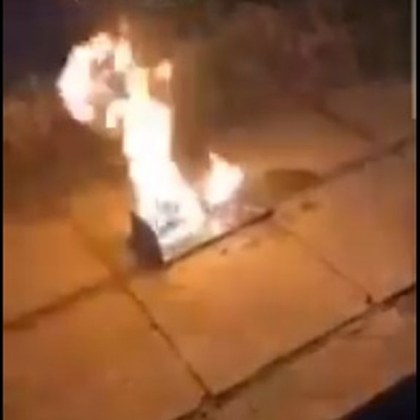 Арестуваха бургаски садист, измъчвал котка и запалил плъх