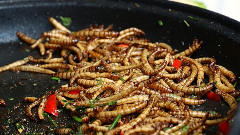 Диетолог за храната от насекоми: Богата на протеини, но и бум на алергии