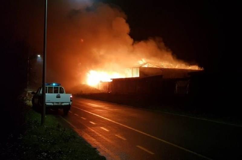 Голям пожар лумна край Северния плаж в Бургас. В 05:16