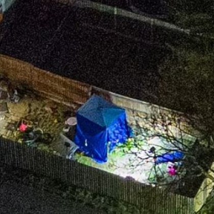 Домашно куче погуби четиригодишно дете Момиченцето загинало след атака на