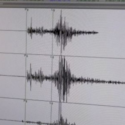 Земетресение с магнитуд 4 6 е станало в района на Дюзичи