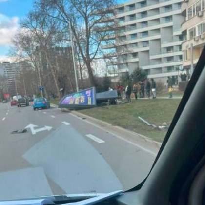 Шофьорът на БМВ-то, "отсякло" билборд, е бил друсан СНИМКИ