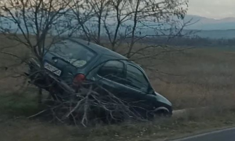 Кола кацна“ на дърво след катастрофа на пътя Пловдив –