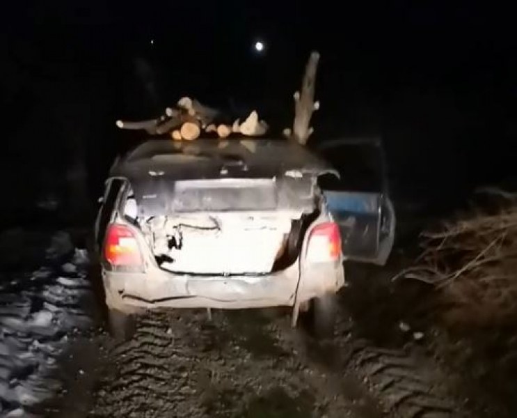 Мъж засне бричка без номера, но натоварена с дърва ВИДЕО+СНИМКИ