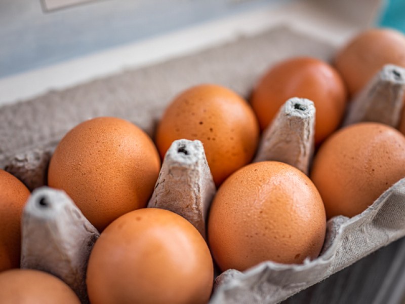 Цената на яйцата достигна рекордни стойности. В Белгия отчитат ръст