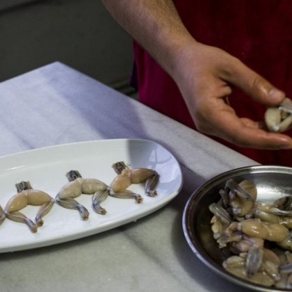 Жабешките бутчета френски и китайски деликатес са застрашени да изчезнат от