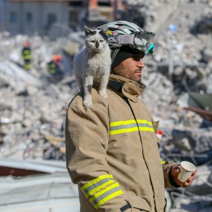 Земетресенията в Турция нанесоха огромни щети а многобройните погубени животи