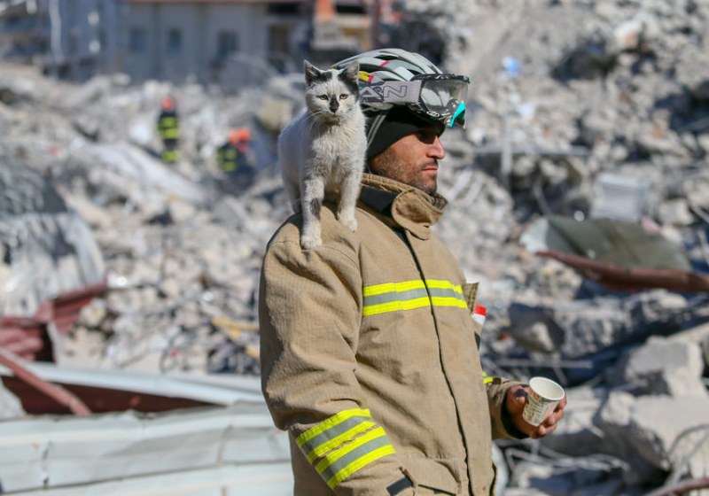 Земетресенията в Турция нанесоха огромни щети, а многобройните погубени животи,