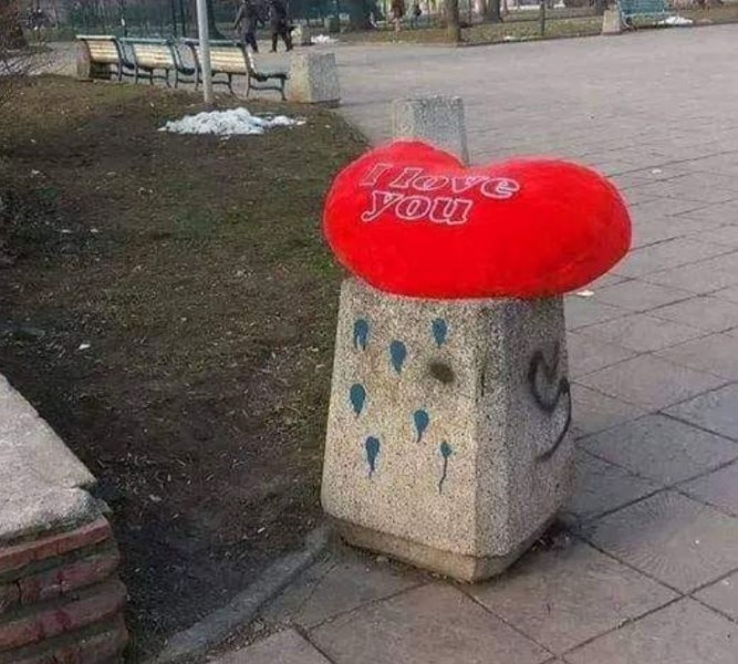 След деня на влюбените: Плюшено сърце попадна в коша СНИМКА