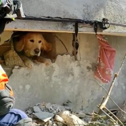 Група португалски спасители разчистващи развалините в Турция след най силните