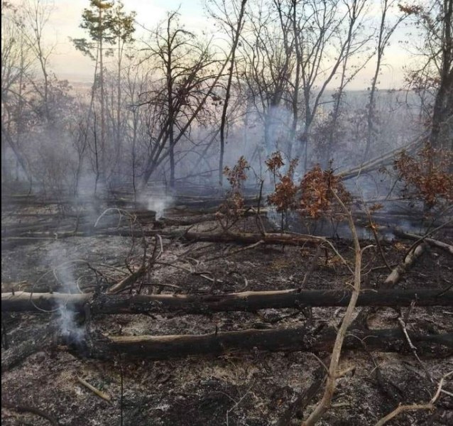 Голям пожар горя в Хисарско, а борбата със стихията продължила