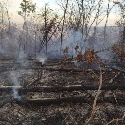 Голям пожар горя в Хисарско а борбата със стихията продължила