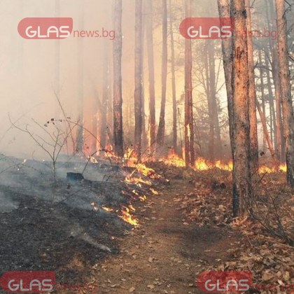 Пожар е избухнал край пловдивското село Паничери Вятърът допълнително разпростира