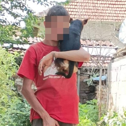 В Испания нов закон за защита на животните предложен от