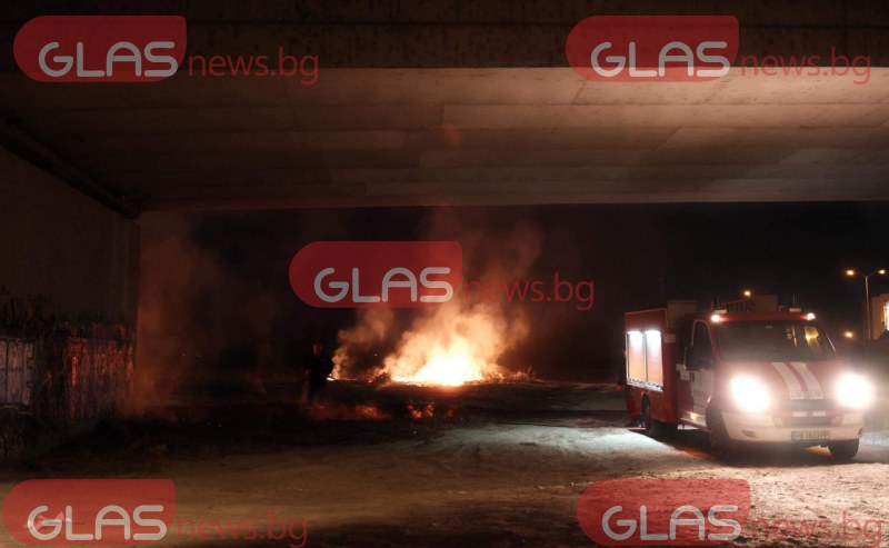 Пожар избухна под мост в Пловдив!  СНИМКИ