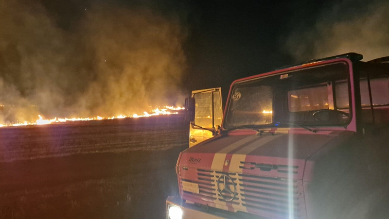 Животни загинаха при пожар в кравеферма в пловдивско село