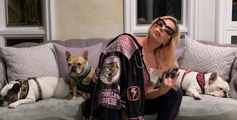 Съучастница на крадеца на кучетата на Лейди Гага я съди за неплащане на награда