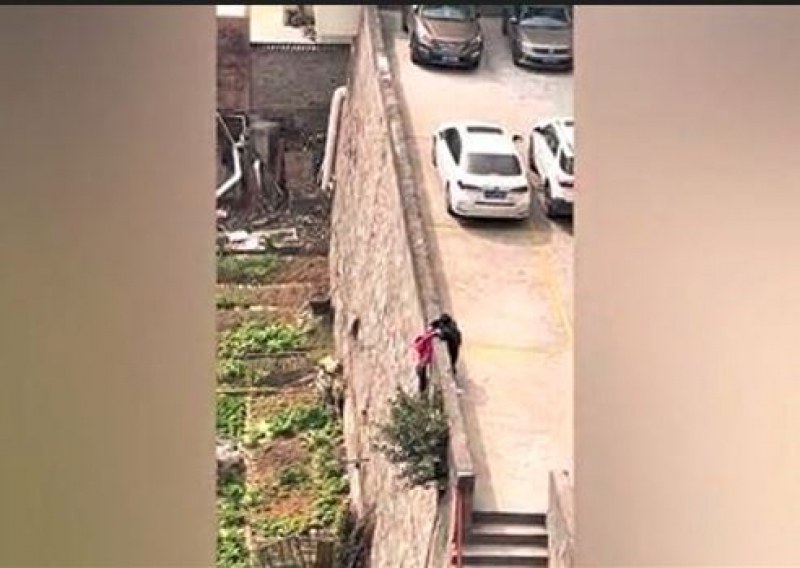 Деца спасиха от падане момиче, висящо от висока стена  ВИДЕО