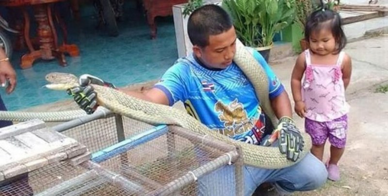 Семейство от Клонг Том, квартал на Тайланд, бяха ужасени от гигантска смъртоносна змия