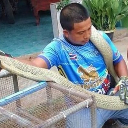 Семейство от Клонг Том квартал на Тайланд бяха ужасени от гигантска смъртоносна змия