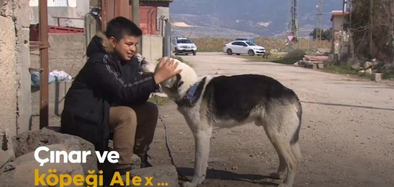 Куче е спасило 12-годишния си стопанин от руините от земетресението