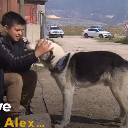 Куче е спасило 12 годишния си стопанин от руините от земетресението