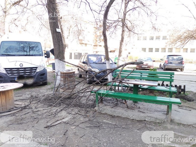 Клон падна върху дете в Пловдив