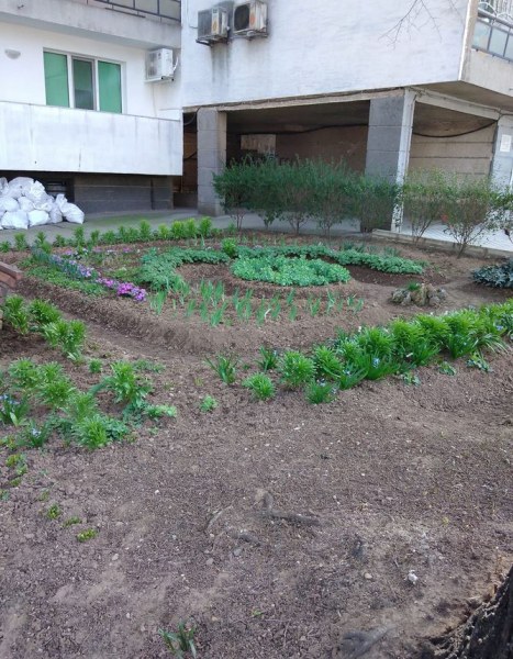 Трудолюбиви хора преобразиха градинка пред блок СНИМКИ
