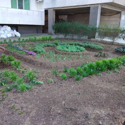 Плевенчани преобразиха градинката пред своя блок Вместо треви и бурени пред