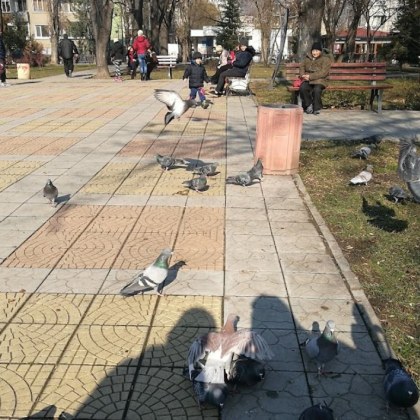 Тийнейджъри откраднаха два телефона в пловдивски парк