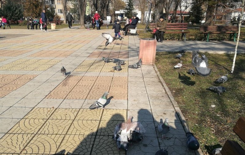 Тийнейджъри откраднаха два телефона в пловдивски парк