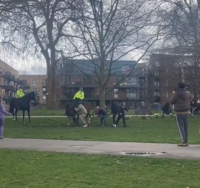 Куче нападна полицейски коне пред смаяните погледи на околните хора.