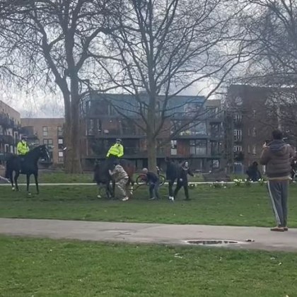 Куче нападна полицейски коне пред смаяните погледи на околните хора